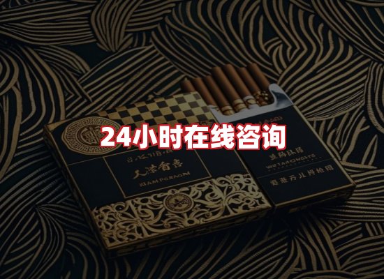 专业团队